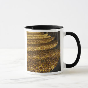 Tasse Peupliers en automne, lac Wanaka, Otago,