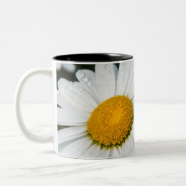 tasse photo, une margueritte, font vert