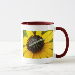 Tasse Pièces de coordination de chenille de Carlin commu