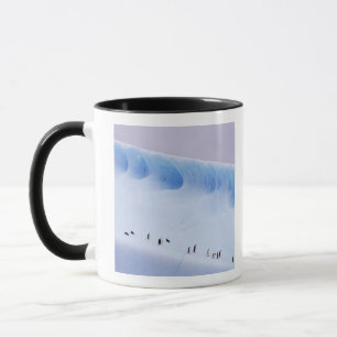 Tasse Pingouin de jugulaire, Îles d'Orkney du sud