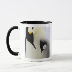Tasse Pingouin d'empereur regardant le poussin
