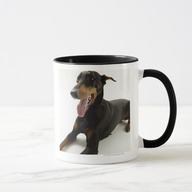 Tasse Pinscher 2 de dobermann (Droite)