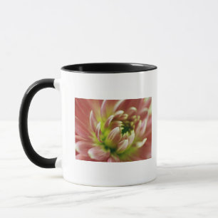 Tasse Plan rapproché d'une fleur