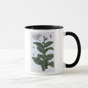 Tasse Plante de tabac, plat 7, de 'collection Precieuse
