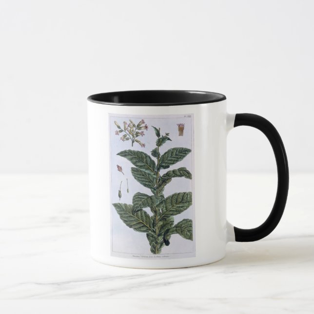 Tasse Plante de tabac, plat 7, de 'collection Precieuse (Droite)