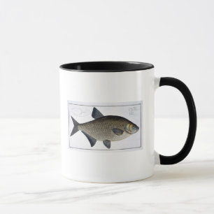 Tasse Plat XIII de brème (Brama de Cyprinus) de