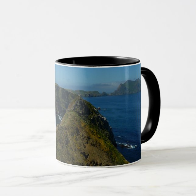 Tasse Point d'inspiration I d'Anacapa aux îles Anglo-Nor (Devant droit)