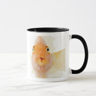 Tasse Poisson d'eau douce tropical