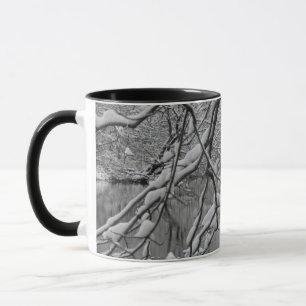 Tasse Pont de voûte au-dessus de rivière congelée en