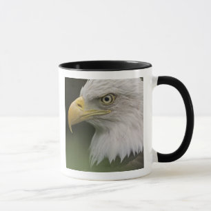 Tasse Portrait d'aigle à tête blanche adulte, Haliaeetus