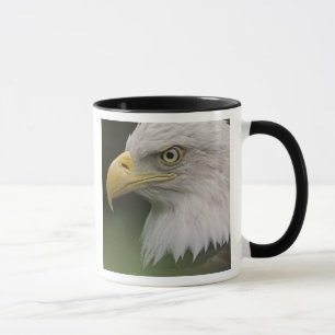Tasse Portrait d'aigle royal adulte, Haliaeetus