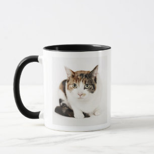 Tasse Portrait de chat de calicot