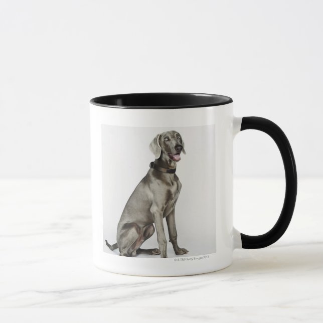 Tasse Portrait de chien de Weimaraner (Droite)