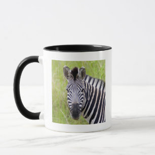 Tasse Portrait de zèbre des plaines, Hluhluwe-Umfolozi G
