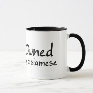Tasse possédé par un siamois