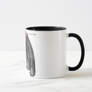 Tasse Poumons vintages de coeur de l'anatomie du gris