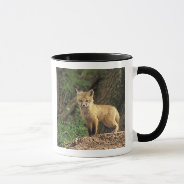 Tasse Poupe Renard Rouge devant la tanière (Vulpes vulpe (Droite)