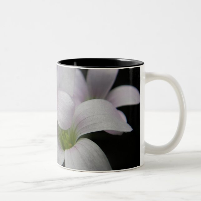 Tasse pourpre de fleurs (Droit)