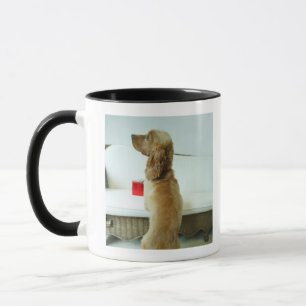 Tasse Poursuivez la position sur un divan avec un cadeau