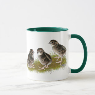 Tasse Poussins de cailles de Coturnix