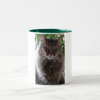 Tasse principale de chat de ragondin
