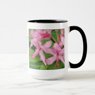 Tasse Prinophyllum de rhododendron, azalée tôt
