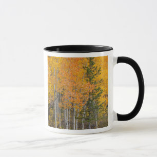Tasse Provo River et peupliers faux-trembles