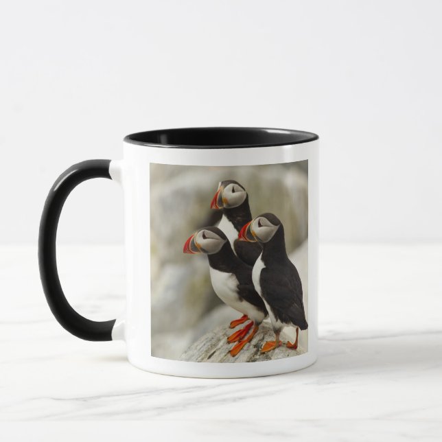 Tasse Puffins de l'Atlantique sur l'île des phoques Mach (Gauche)