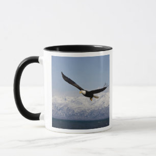 Tasse Pygargue à tête blanche en vol, Haliaeetus leucoce