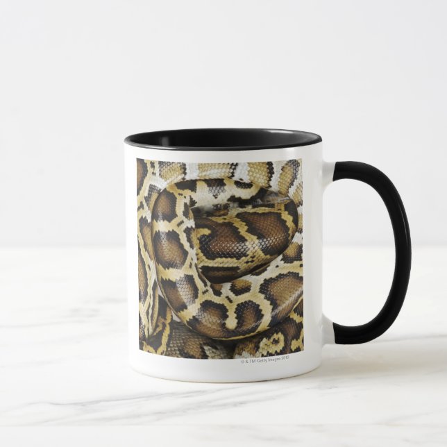 Tasse Python birman (Droite)