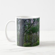Tasse Quakies