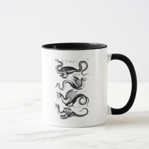 Tasse Quatre types de dragon