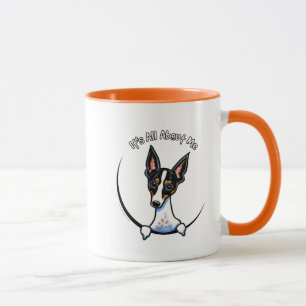 Tasse Rat terrier tricolore IAAM