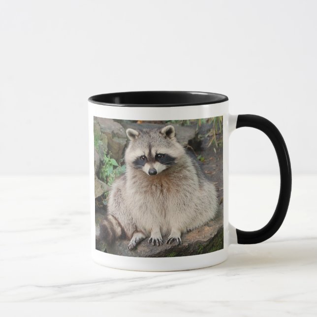 Tasse Raton laveur (Droite)