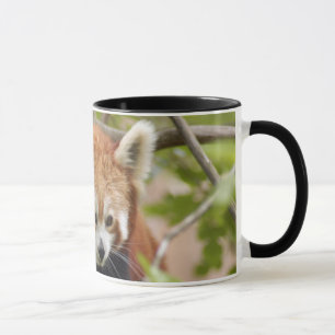 Tasse red-panda-023