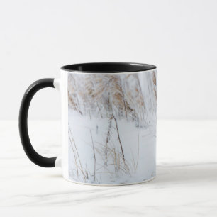 Tasse Renard arctique