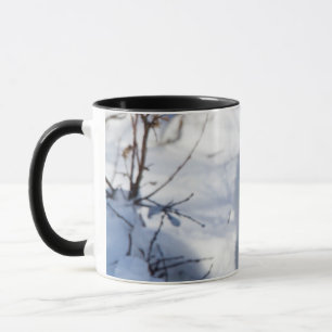 Tasse Renard arctique, zone de gestion de la faune de Ch