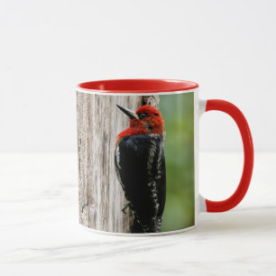 Tasse Rencontre avec un suceur à poitrine rouge