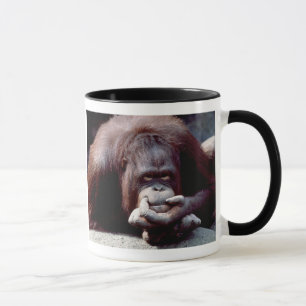Tasse Réserve faunique - Primates 10
