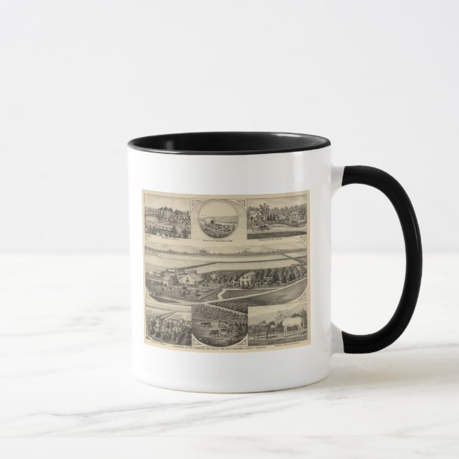 Tasse Résidences Johnson et Maxell, Kansas (Droite)