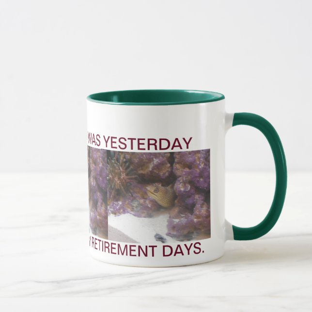 TASSE RETRAITE FACILE EN FLORIDE (Droite)