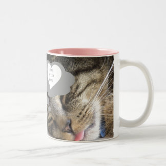 Tasse rêveuse de chat