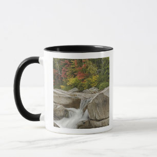 Tasse Rivière Swift en cascade à travers les rochers, Bl