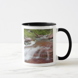 Tasse Rocher rouge dans Baring Creek dans Glacier Nation