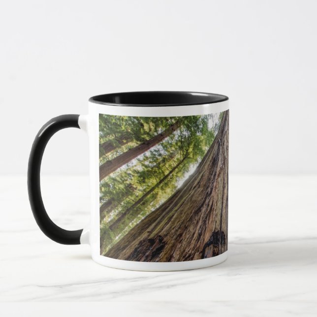 Tasse Roosevelt Grove (Gauche)