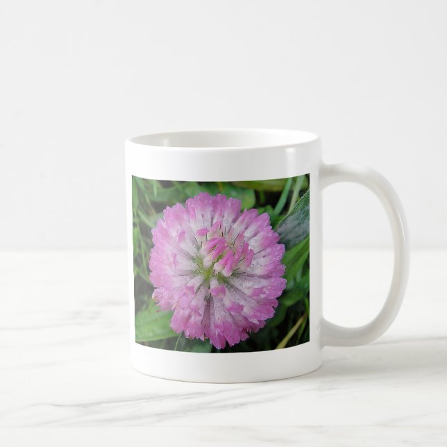 Tasse rosa Kleeblüte mit Wassertropfen (Droite)