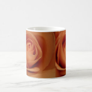 Tasse rose de beauté d'abricot