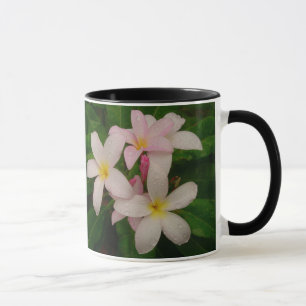 Tasse rose de Plumeria d'abattage