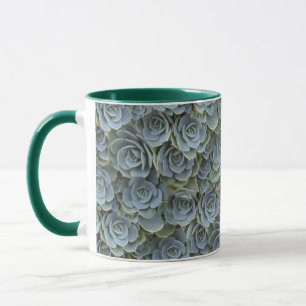 TASSE ROSETTES PLANTES SUCCULENTS GREEN VERT