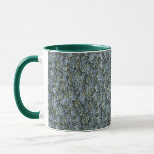 TASSE ROSETTES PLANTES SUCCULENTS GREEN VERT